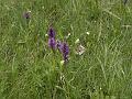 AUS04062009 (122)